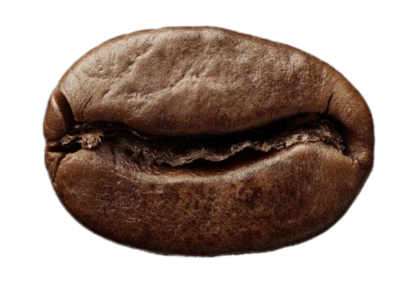El Mundo del Café